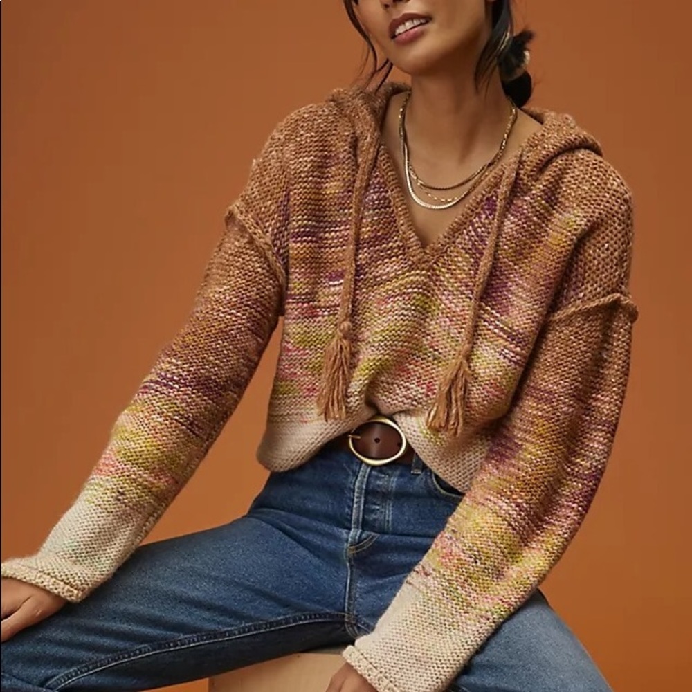 Anthropologie V-Neck Sweater in Earthy Tones